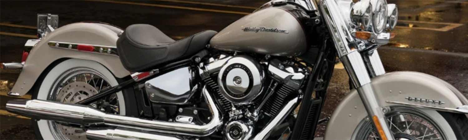 2019 Harley-Davidson® Softail® Deluxe for sale in Barnes Harley-Davidson®, , British Columbia