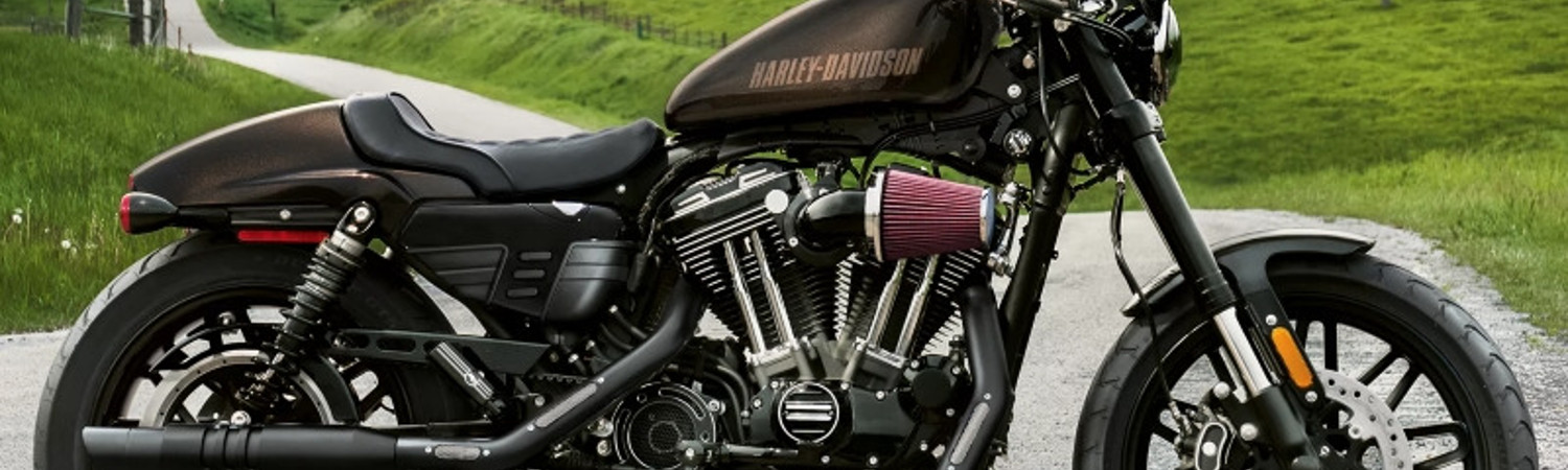 2019 Harley-Davidson® Sportster® Roadster™ for sale in Barnes Harley-Davidson®, , British Columbia